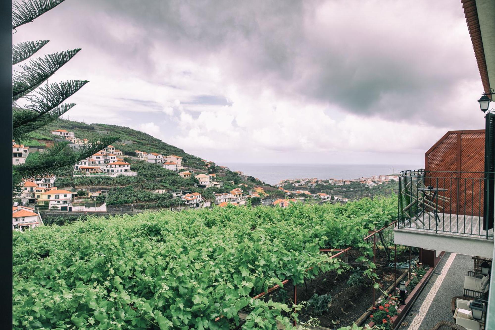 Quinta Da Saraiva Villa Camara de Lobos Bilik gambar